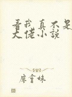 看我真不是女装大佬小说