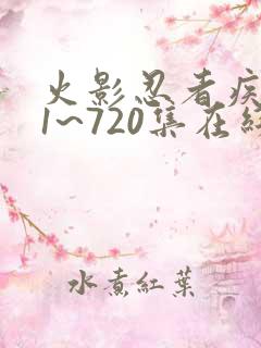 火影忍者疾风传1~720集在线免费观看