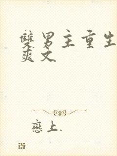 双男主重生复仇爽文