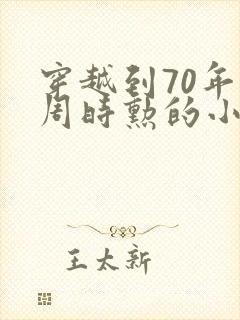 穿越到70年代周时勋的小说