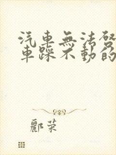 汽车无法启动刹车踩不动的故障原因