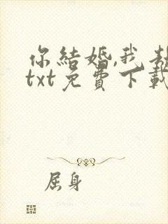 你结婚,我劫婚txt免费下载