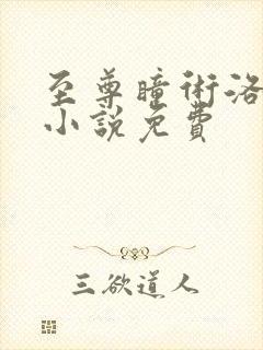 至尊瞳术洛清瞳小说免费