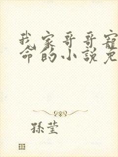 我家哥哥宠我如命的小说免费阅读