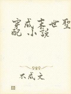 穿成末世圣母女配 小说