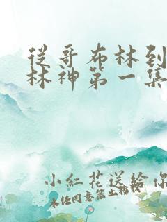 从哥布林到哥布林神第一集下载