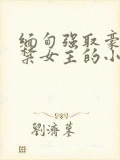 缅甸强取豪夺囚禁女主的小说