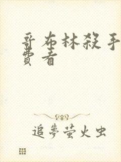 哥布林杀手 免费看