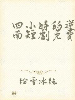 四小时的逆袭指南短剧免费观看