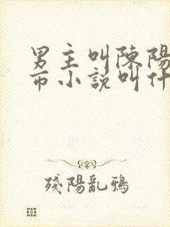 男主叫陈阳的都市小说叫什么