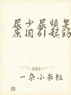 尿少尿频是什么原因引起的