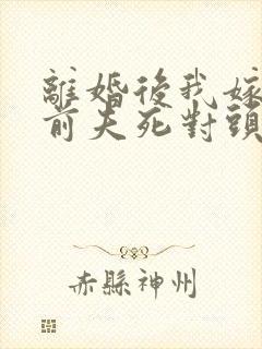 离婚后我嫁给了前夫死对头电子版
