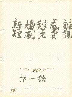 新婚难成谁之错短剧免费观看全集