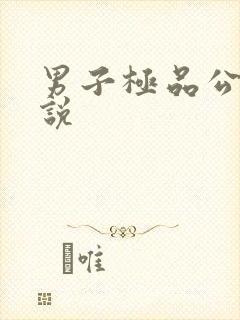 男子极品公寓小说