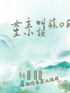 女主叫苏o的重生小说