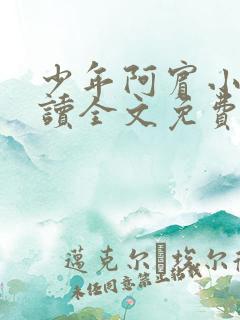 少年阿宾小说阅读全文免费无删减