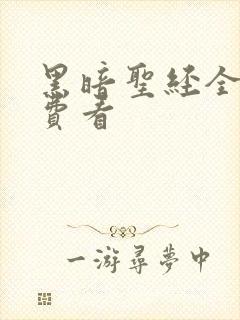 黑暗圣经全集免费看