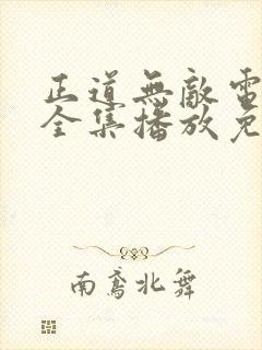 正道无敌电视剧全集播放免费观看