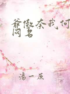 爷傲奈我何类似网名