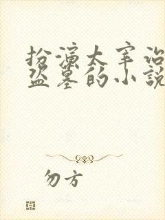 扮演太宰治穿越盗墓的小说