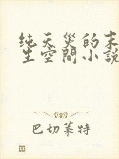 纯天灾的末世重生空间小说