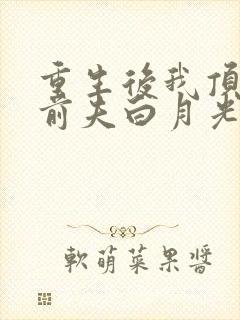 重生后我顶替了前夫白月光主角