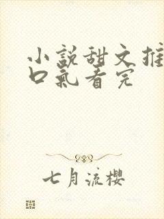 小说甜文推文一口气看完