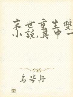 末世重生双男主小说,其中一个男主是丧尸王