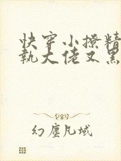 快穿小撩精:偏执大佬又黑化了小说