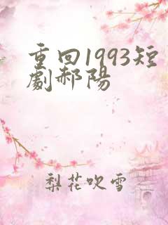 重回1993短剧郝阳