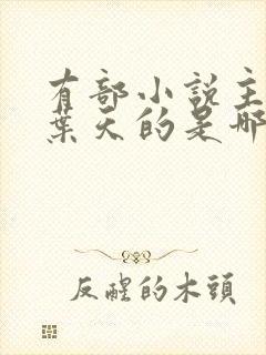 有部小说主角叫叶天的是哪一部小说