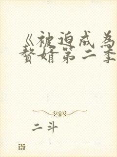 《被迫成为反派赘婿第二季》