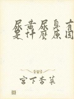 尿黄尿臭有泡沫是什么原因