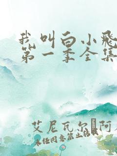 我叫白小飞动漫第一季全集免费观看