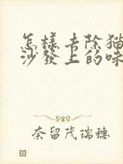 怎样去除猫尿在沙发上的味道