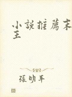 小说推荐末世女主