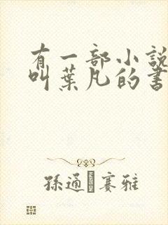 有一部小说主角叫叶凡的书名