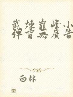 武炼巅峰小说无弹窗无广告