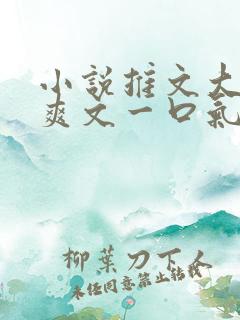 小说推文大女主爽文一口气看完重生有系统