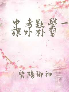 中考数学一对一课外补习