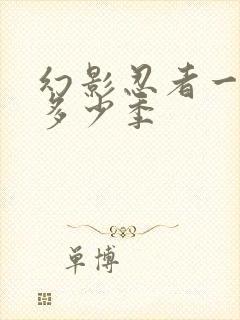 幻影忍者一共有多少季