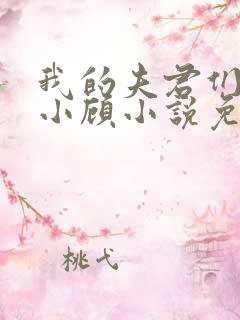 我的夫君们by小顾小说免费阅读