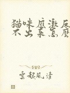 猫咪应激反应尿不出来怎么办