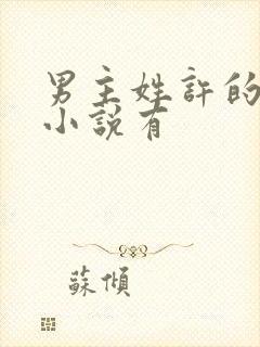 男主姓许的穿越小说有