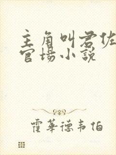 主角叫君佐漫的官场小说