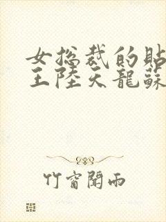 女总裁的贴身兵王陆天龙苏凌月