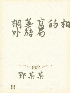 桐华写的相柳番外结局