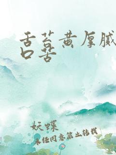 舌苔黄厚腻口干口苦