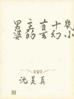 男主有十几个老婆的玄幻小说