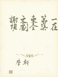 谢文东第一季电视剧全集在线观看高清